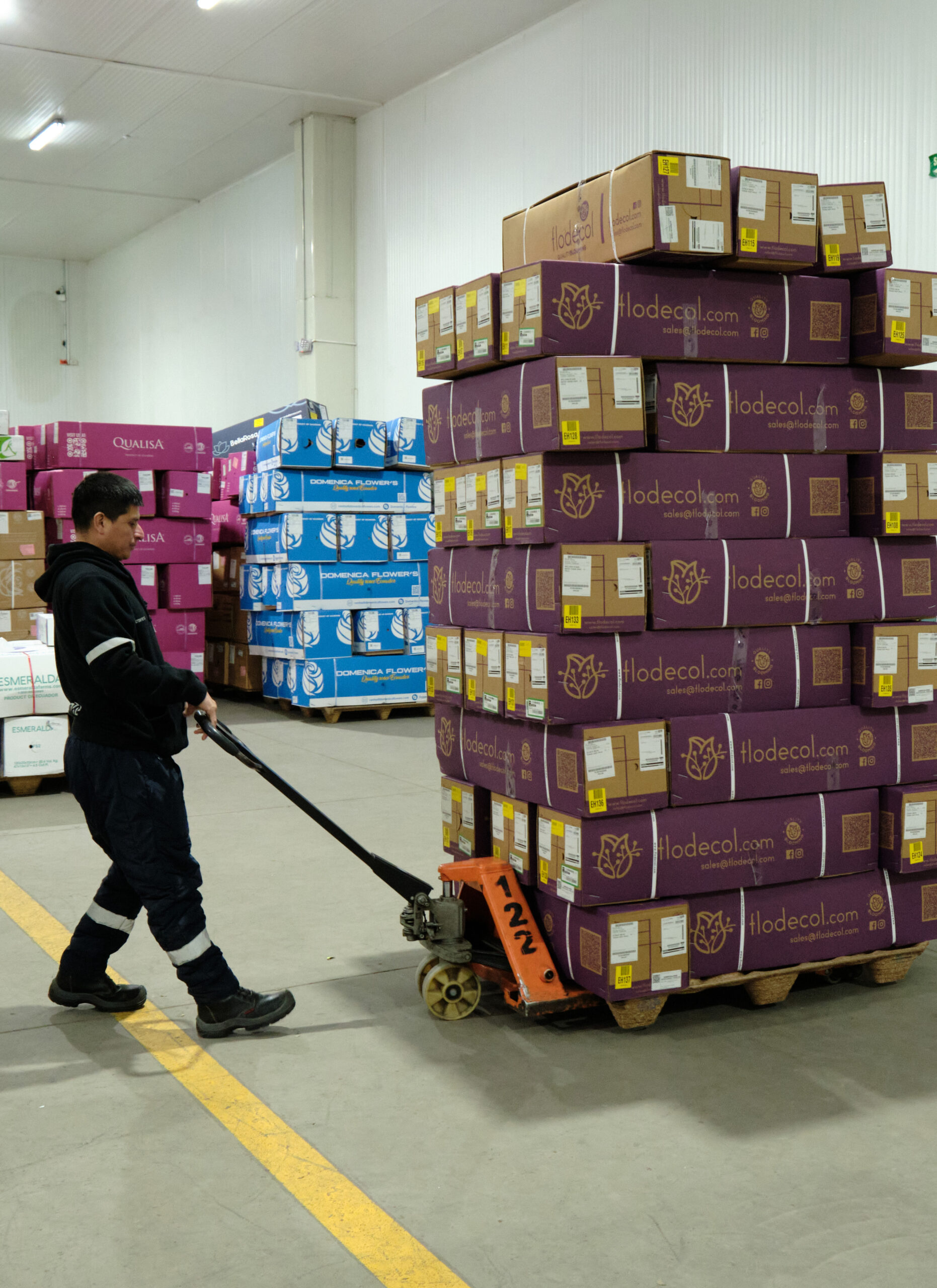 Fresh cut flower logistics and handling