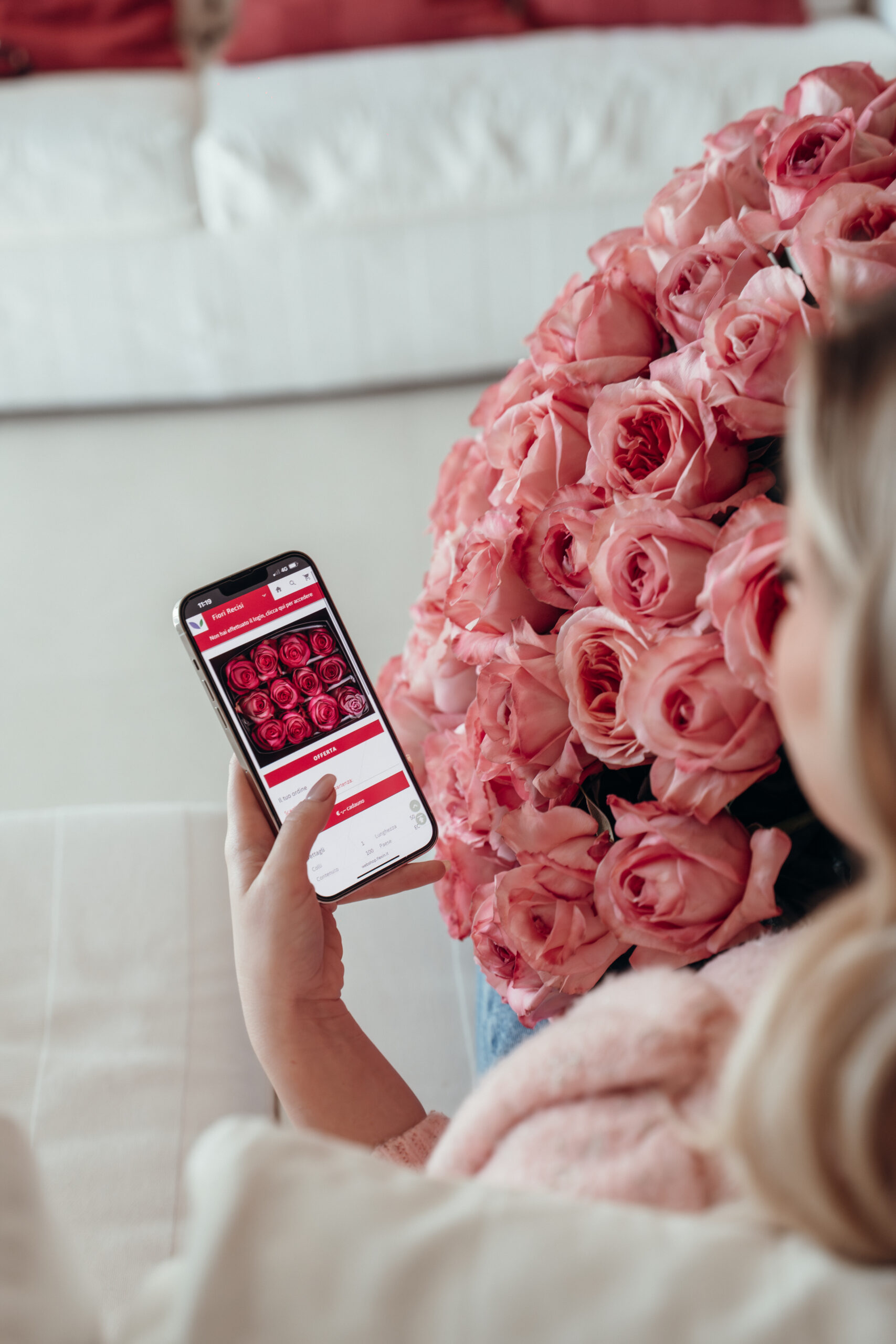 Premium fresh cut roses